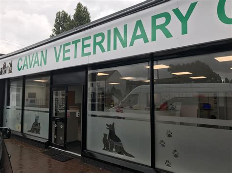 vets for pets wolverhampton